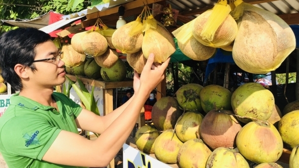 Vietnam organized an international coconut conference for the first time